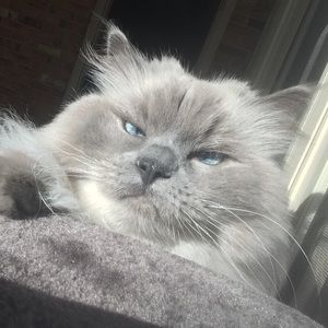 Meet your Posher, Kat